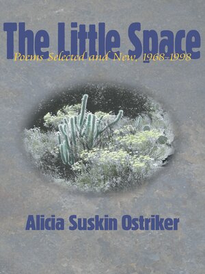 cover image of The Little Space